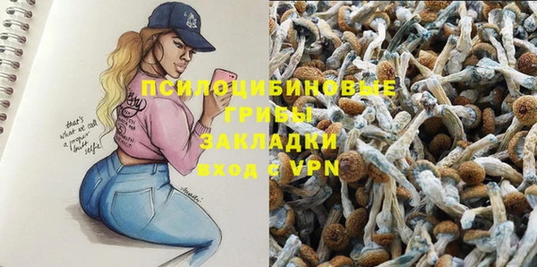 ALPHA PVP Няндома