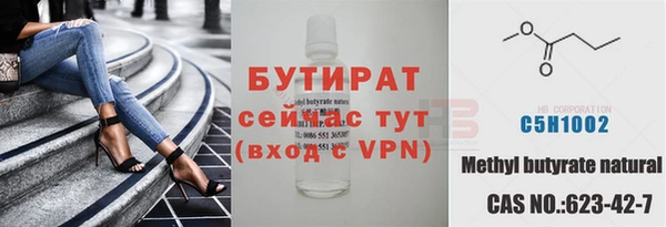 стаф Осинники